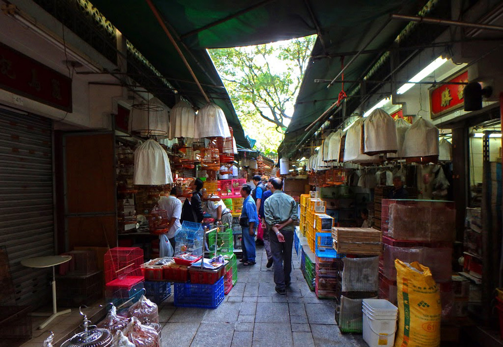 Yuen Po Street Bird Graden